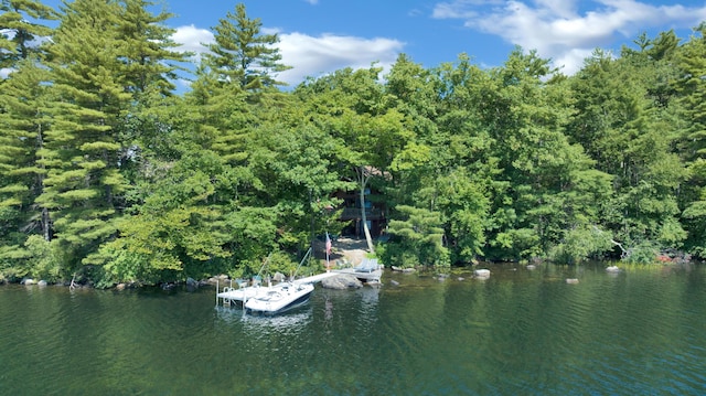 105 Mountain View Dr, Acton, ME 04001 - photo 62