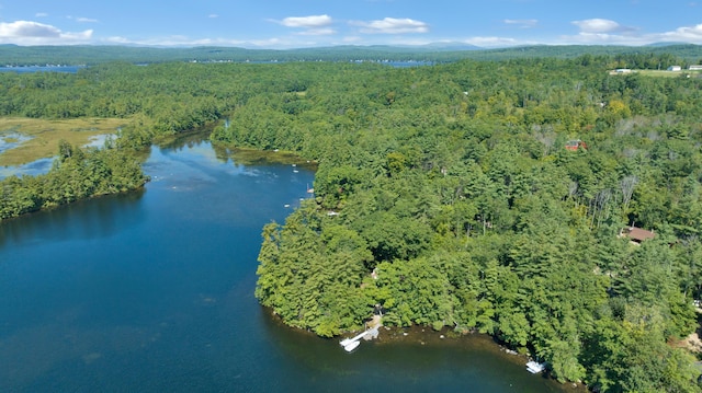 105 Mountain View Dr, Acton, ME 04001 - photo 59