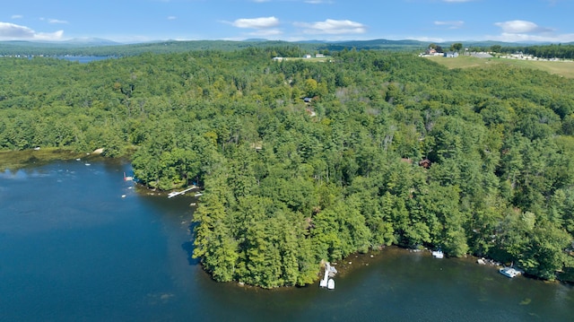 105 Mountain View Dr, Acton, ME 04001 - photo 60