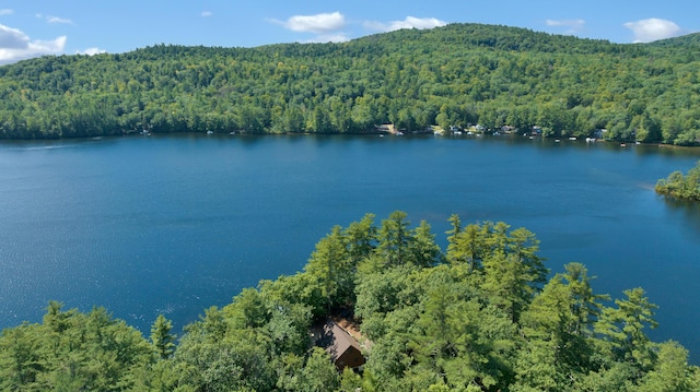 105 Mountain View Dr, Acton, ME 04001 - photo 67