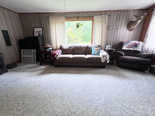 113 River Rd, Dresden, ME 04342 - living room featuring carpet flooring and wooden walls