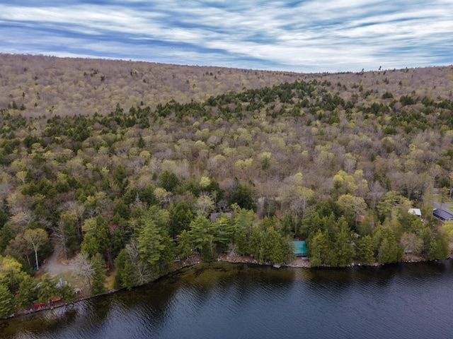 5 Canoe Ct Unit T3 R9, Nwp, ME 04462 - aerial view of property's location with a forest and a large body of water