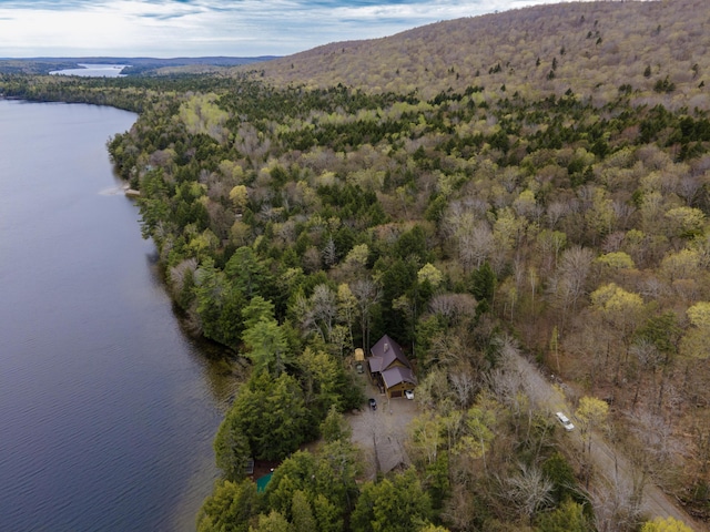 5 Canoe Ct Unit T3 R9, Nwp, ME 04462 - aerial view of property and surrounding area featuring a forest and a nearby body of water