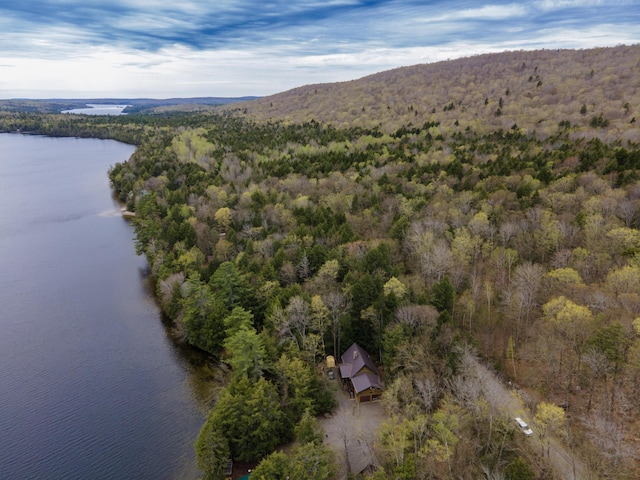 5 Canoe Ct Unit T3 R9, Nwp, ME 04462 - aerial overview of property's location with a heavily wooded area and a large body of water