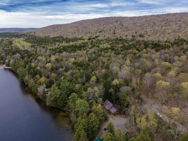 5 Canoe Ct Unit T3 R9, Nwp, ME 04462 - view of property location with a forest and a water and mountain view