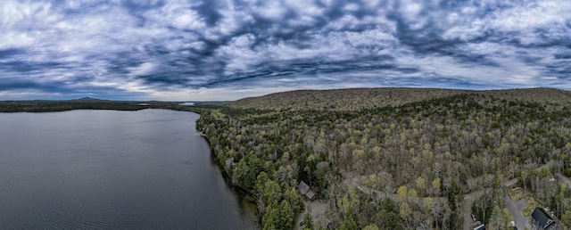 5 Canoe Ct Unit T3 R9, Nwp, ME 04462 - water view featuring a heavily wooded area and a mountainous background