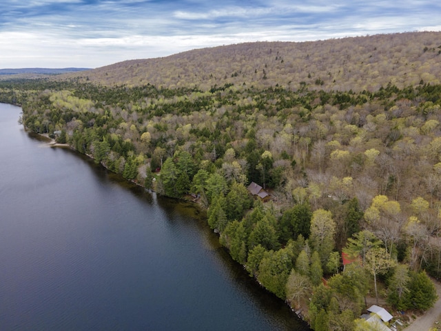 5 Canoe Ct Unit T3 R9, Nwp, ME 04462 - aerial view of property and surrounding area featuring a forest and a water and mountain view