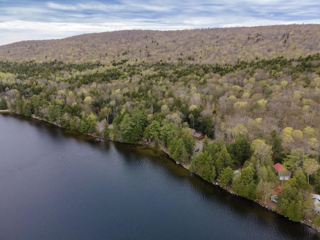 5 Canoe Ct Unit T3 R9, Nwp, ME 04462 - aerial view of property and surrounding area with a forest and a nearby body of water