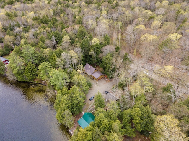 5 Canoe Ct Unit T3 R9, Nwp, ME 04462 - bird's eye view of a large body of water