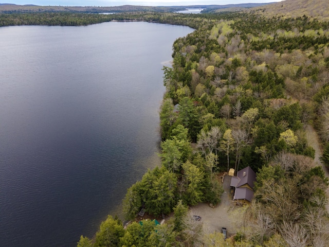 5 Canoe Ct Unit T3 R9, Nwp, ME 04462 - aerial view of a large body of water and a forest