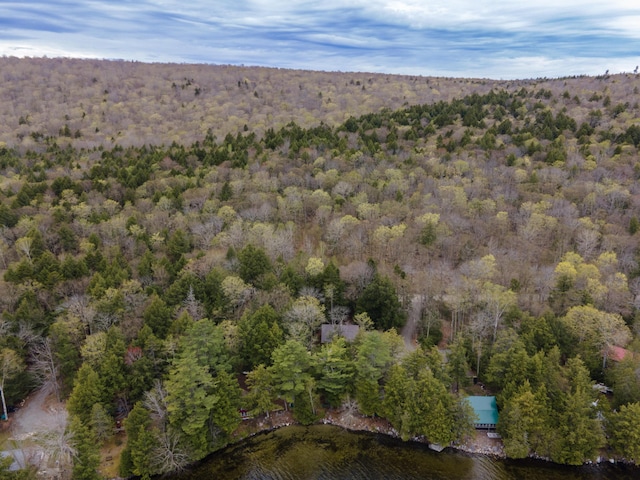 5 Canoe Ct Unit T3 R9, Nwp, ME 04462 - aerial view of property's location with a forest