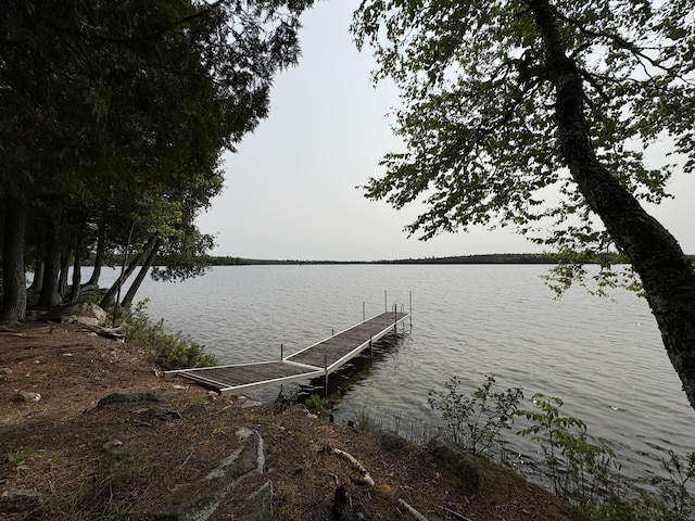 5 Canoe Ct Unit T3 R9, Nwp, ME 04462 - dock area featuring a water view