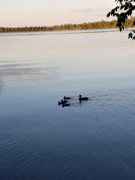 5 Canoe Ct Unit T3 R9, Nwp, ME 04462 - water view