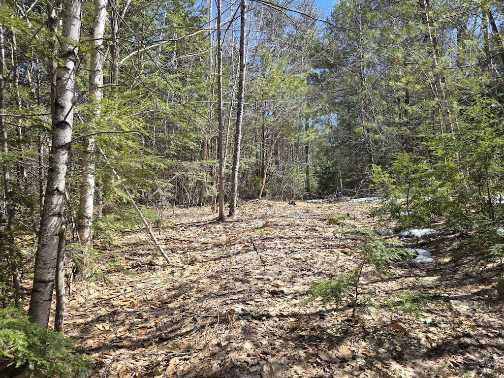 LOT4A Center Conway Rd, Brownfield, ME 04010