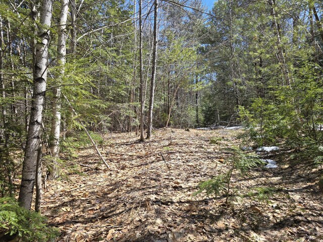 LOT4A Center Conway Rd, Brownfield, ME 04010