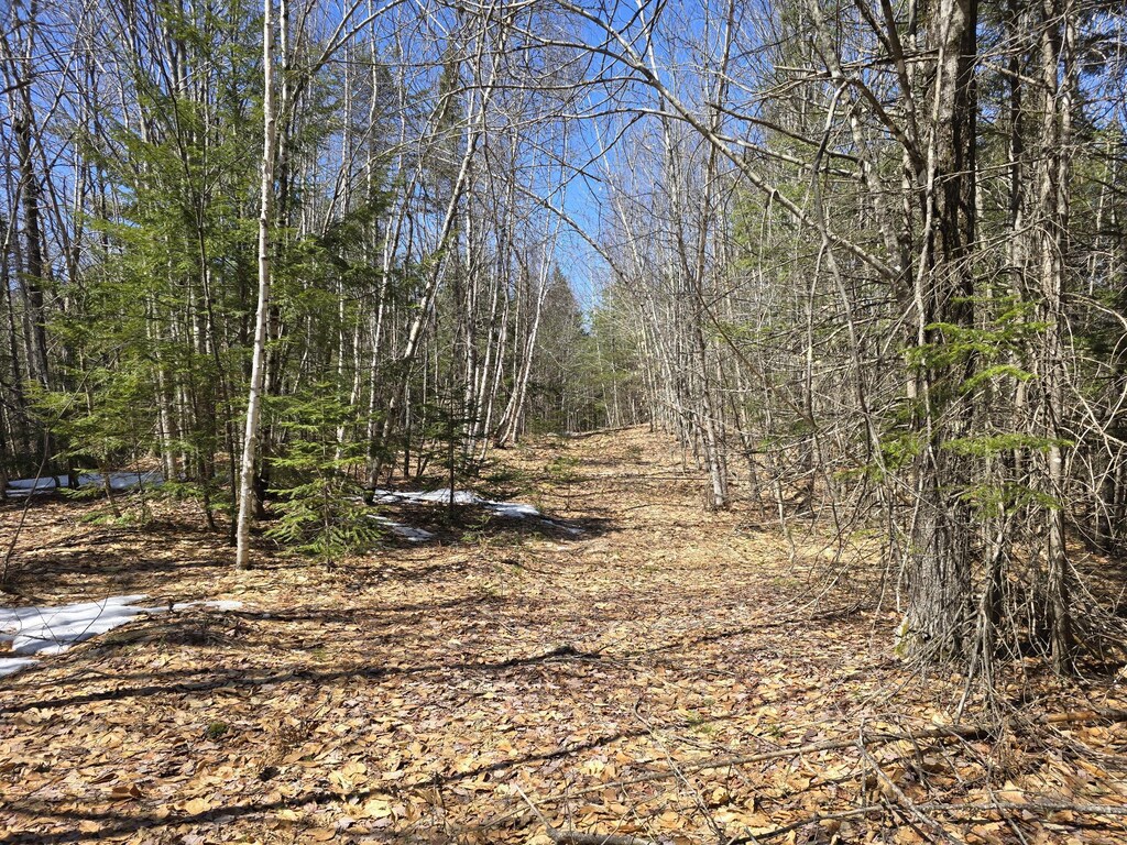 LOT4A Center Conway Rd, Brownfield, ME 04010