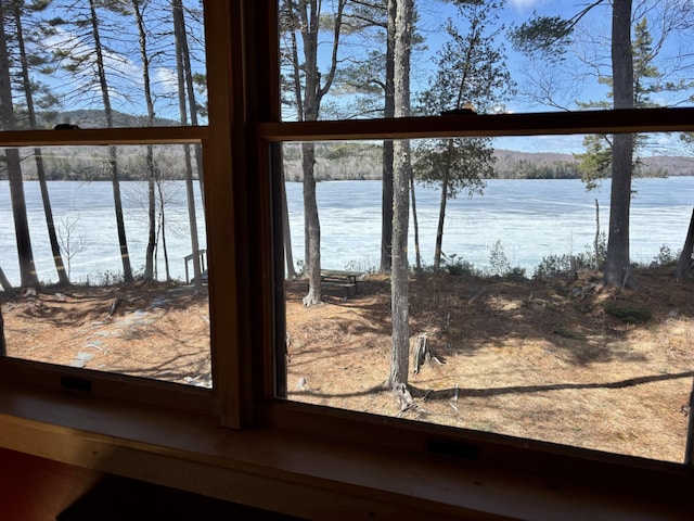 106 N Birch St, Greenville, ME 04441 - detailed view of a water view