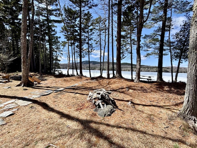106 N Birch St, Greenville, ME 04441 - view of yard with a water view