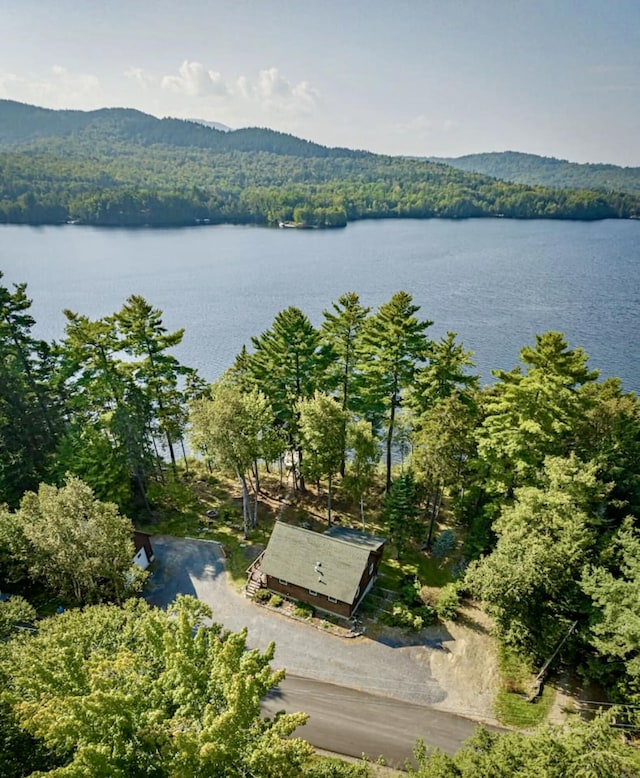106 N Birch St, Greenville, ME 04441 - aerial view of a forest and a water and mountain view