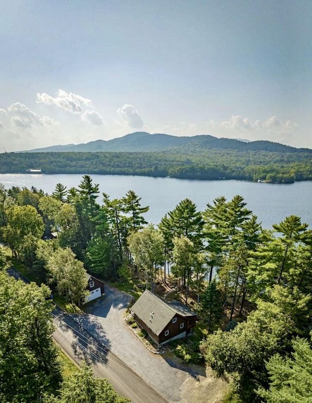 106 N Birch St, Greenville, ME 04441 - aerial view of a water and mountain view and a forest