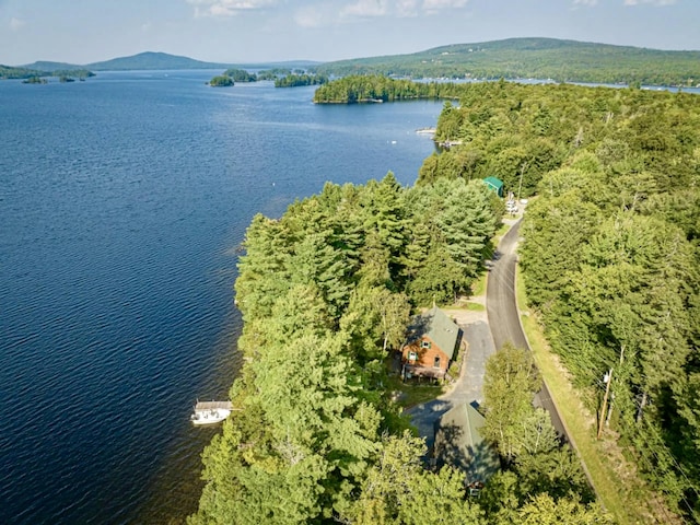 106 N Birch St, Greenville, ME 04441 - aerial view of property's location with a water and mountain view