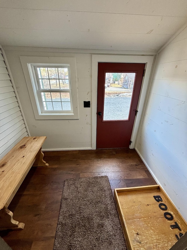 doorway featuring dark wood-type flooring, wooden walls, and plenty of natural light