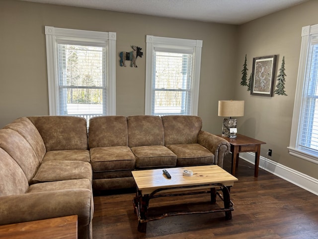 living area with plenty of natural light, baseboards, and dark wood-style flooring