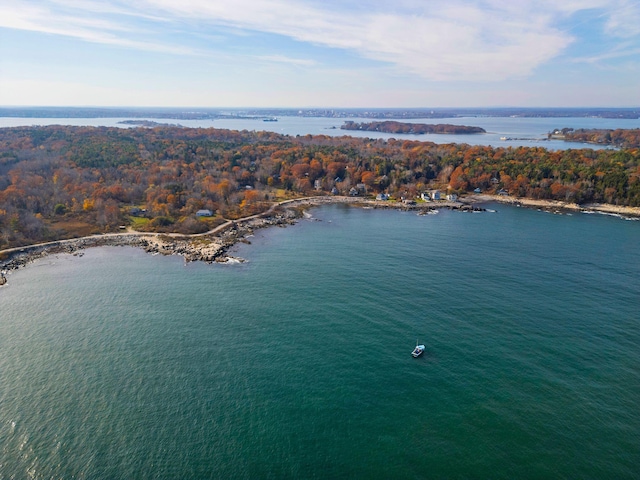 105 Lyndon Ave, Portland, ME 04108 - photo 53