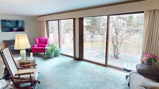 living area featuring carpet floors