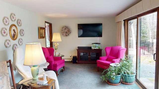 carpeted living room featuring baseboard heating