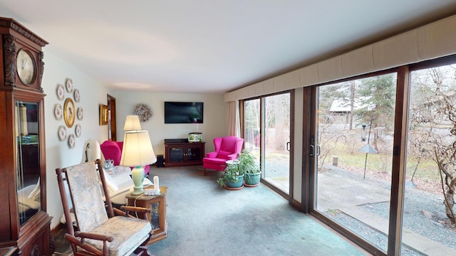 interior space with carpet