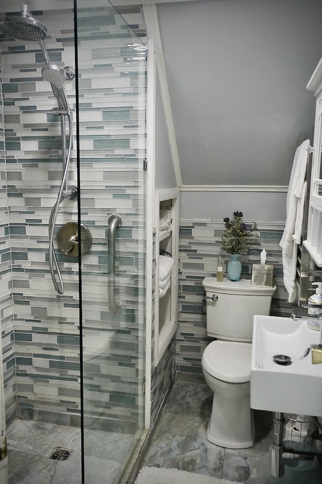 full bathroom featuring toilet, a stall shower, and a sink