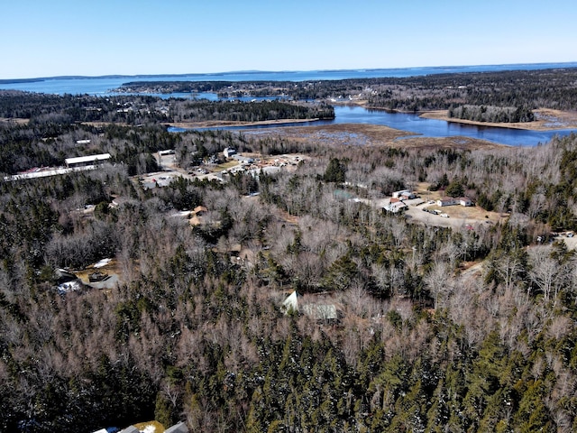 birds eye view of property with a wooded view and a water view