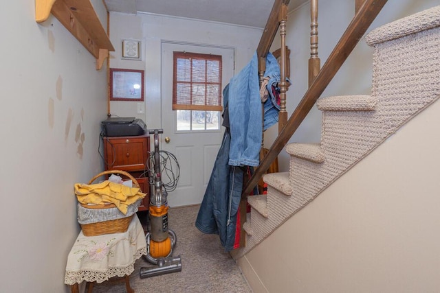 entryway with stairs and carpet