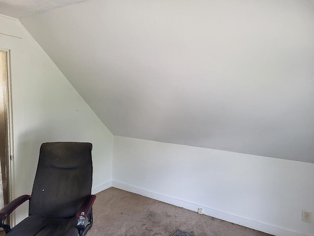 additional living space featuring baseboards, vaulted ceiling, and carpet floors