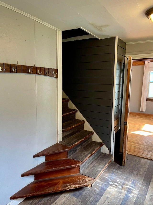 642 Main St, Old Town, ME 04468 - stairs featuring crown molding and wood finished floors