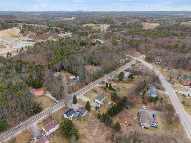 drone / aerial view