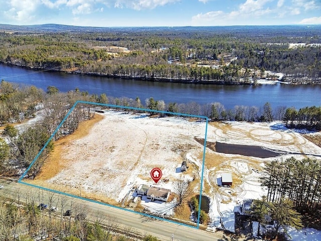 bird's eye view featuring a wooded view and a water view