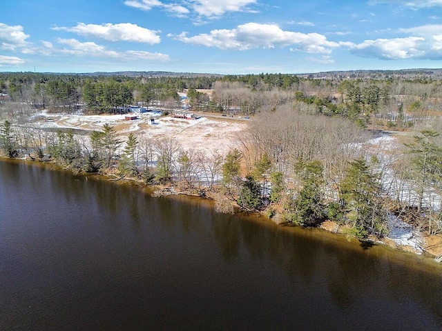 bird's eye view featuring a water view and a view of trees