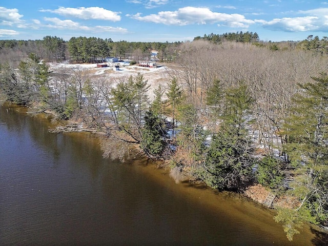 birds eye view of property with a forest view and a water view