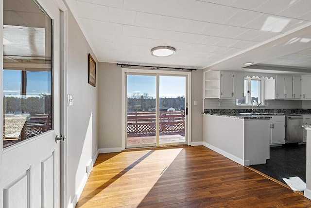 kitchen featuring tasteful backsplash, a sink, dark wood-style floors, and a wealth of natural light