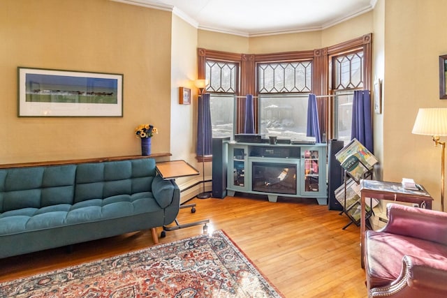 living area featuring ornamental molding, baseboards, and wood finished floors