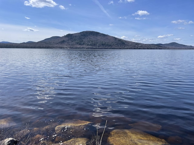36 Deer Run Dr, Jackman, ME 04945 - photo 11