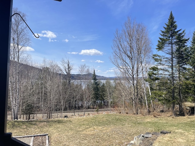36 Deer Run Dr, Jackman, ME 04945 - photo 60