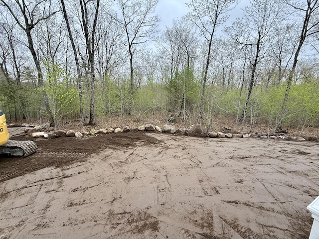 view of undeveloped land