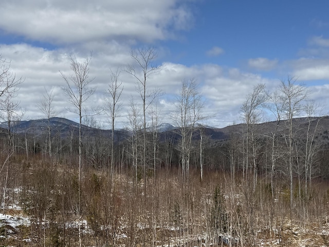 46 Harmony Row, Bethel, ME 04217 - view of mountain backdrop