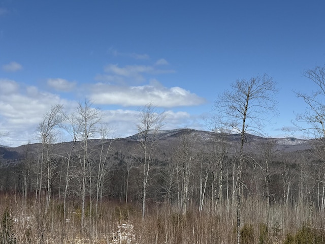 46 Harmony Row, Bethel, ME 04217 - mountain view