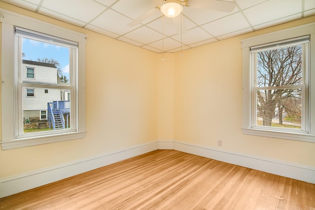 empty room with a paneled ceiling, a wealth of natural light, light wood finished floors, and a ceiling fan