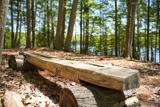 55 Lower Oak Point Rd, Winterport, ME 04496 - photo 15