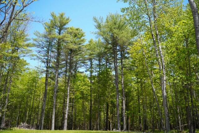 55 Lower Oak Point Rd, Winterport, ME 04496 - photo 18